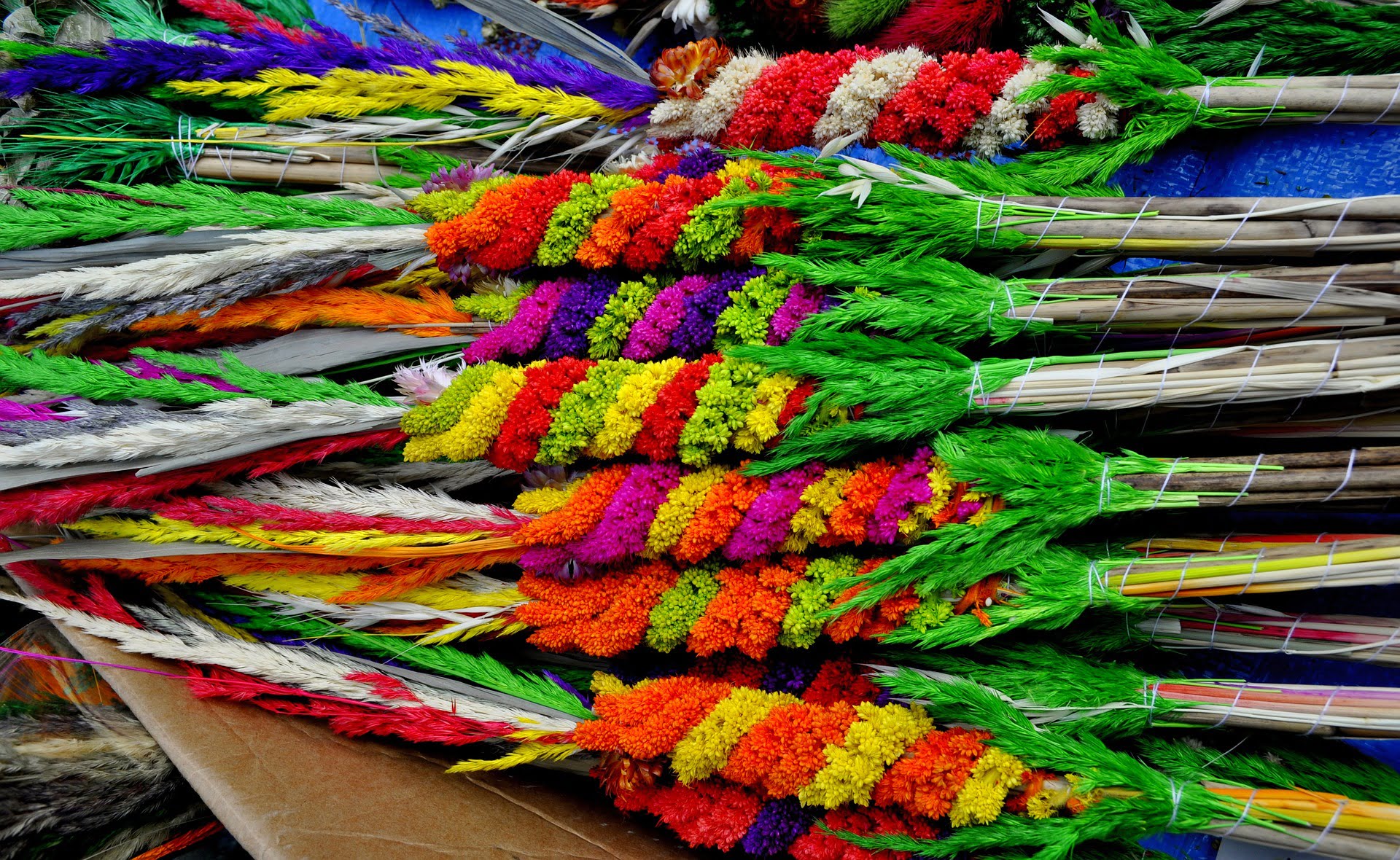 OGŁOSZENIA Niedziela Palmowa (Męki Pańskiej) 2.04.2023 r.