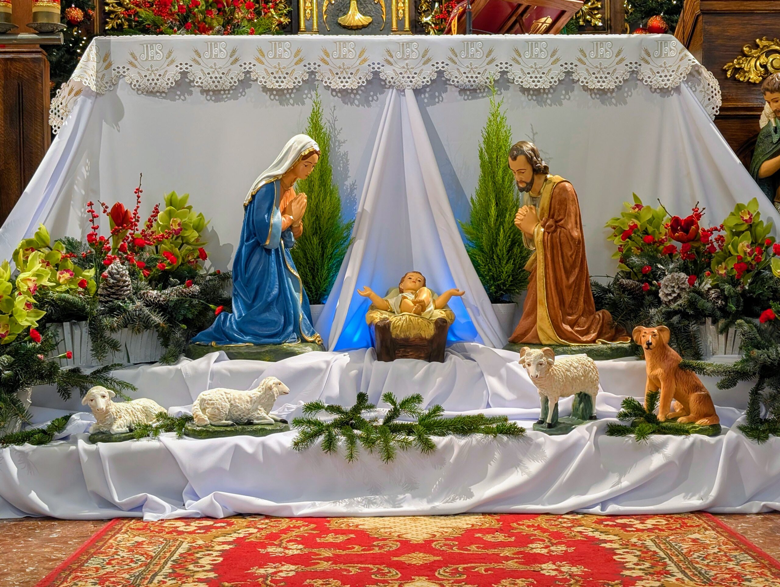 OGŁOSZENIA II Niedziela po Narodzeniu Pańskim 4.01.2026 r.